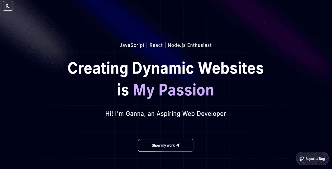 Developer's Portfolio